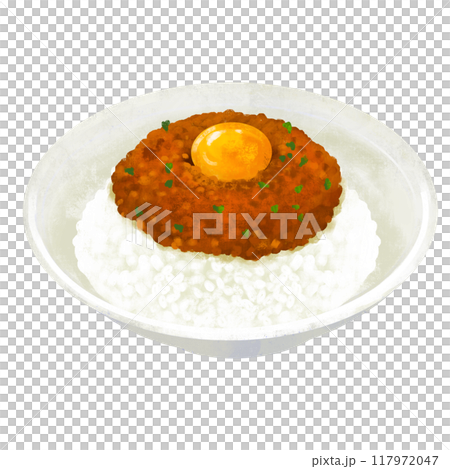 キーマカレー　カレーライスのイラスト 117972047