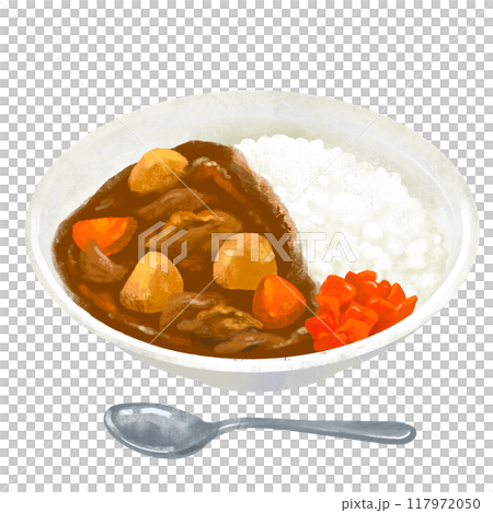 Pork curry, curry, curry rice illustration 117972050