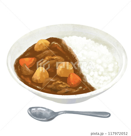 ポークカレー　カレー　カレーライスのイラスト 117972052