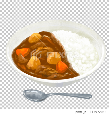 ポークカレー　カレー　カレーライスのイラスト 117972052