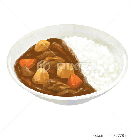ポークカレー　カレー　カレーライスのイラスト 117972053