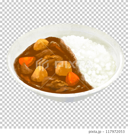 ポークカレー　カレー　カレーライスのイラスト 117972053