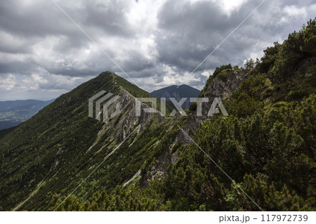 Mountain hiking at Brecherspitze mountain, Bavaria, Germany in summertime Mountain hiking at Brecherspitze mountain, Bavaria, Germany in summertime 117972739