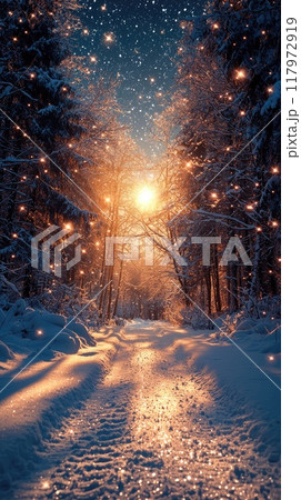 Snowy path leading through a forest covered in fresh snow at night Snowy path leading through a forest covered in fresh snow at night 117972919