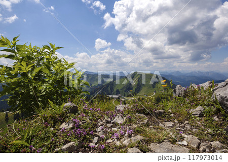 Mountain hiking Wallberg and Setzberg mountain, Bavaria, Germany Mountain hiking Wallberg and Setzberg mountain, Bavaria, Germany 117973014