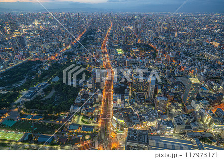 ［夜景・夕景］大阪市内の街並み・天王寺公園・谷町筋[あべのハルカス300展望台] 117973171