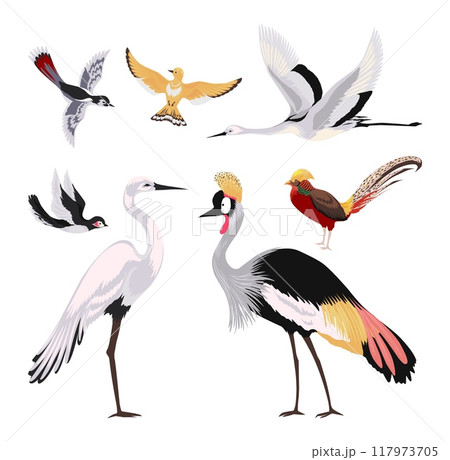 Wild birds. Flying animals. Asian heron. Cranes flock. Cuckoo and lark. Swallow feathers. Thrush wings. Kingfisher flight. Japanese pheasant. Avian zoo elements. Ornithology vector set 117973705