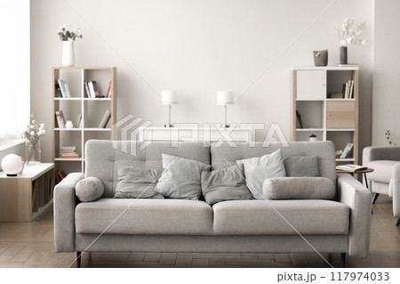 Empty living room with sofa, bookcases and flowers in vases 117974033