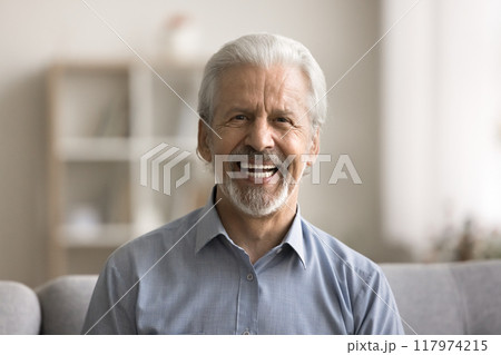 Hoary man with attractive appearance, optimistic mood, posing for camera Hoary man with attractive appearance, optimistic mood, posing for camera 117974215