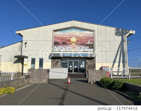 根室市北方領土資料館　トドの剥製 117974618