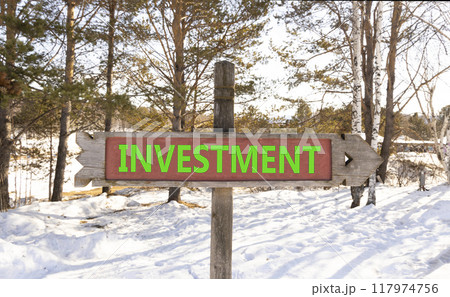 Investment symbol. Concept word Investment on beautiful wooden road sign. Beautiful winter forest background. Business investment concept. Copy space. 117974756