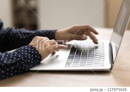 Unknown female using modern laptop for work, study or fun 117975026