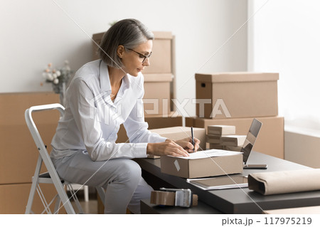 Businesslady working in warehouse preparing parcels for dispatch 117975219