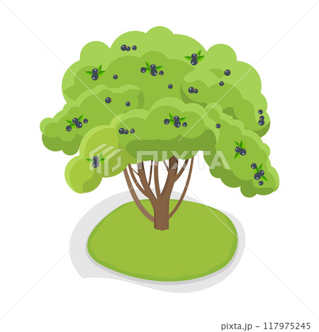 3D Isometric Flat Vector Set of Fruit Tree, Garden Plants Cultivation. Item 1 3D Isometric Flat Vector Set of Fruit Tree, Garden Plants Cultivation. Item 1 117975245