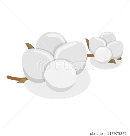 3D Isometric Flat Vector Illustration of Cotton Flower Collection, Pure and Organic Product. Item 4 117975273