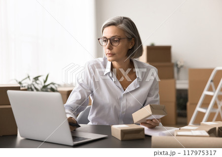 Woman engaged in logistical, shipping tasks, overseeing inventory, dispatch operations Woman engaged in logistical, shipping tasks, overseeing inventory, dispatch operations 117975317