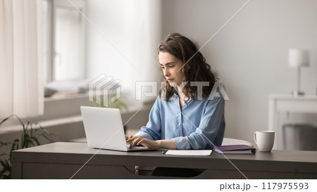 Attractive young woman working on studying on-line on laptop 117975593