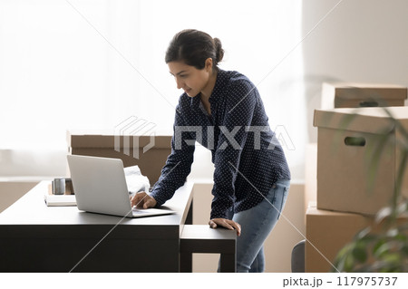 Businesswoman review orders, check dispatch schedule using laptop 117975737