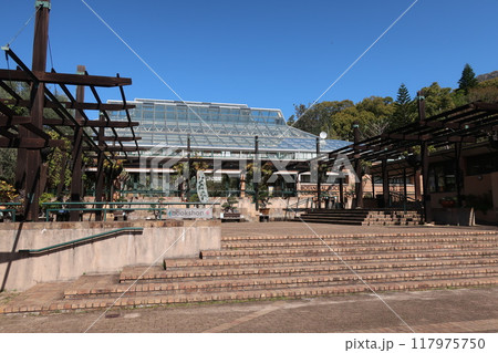 南アフリカ・ケープタウン　カーステンボッシュ 117975750