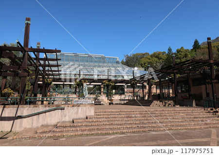 南アフリカ・ケープタウン　カーステンボッシュ 117975751