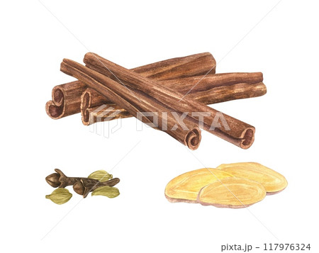 Natural raw organic cinnamon sticks watercolor illustration. Aromatic seasoning from tree bark lying on top of each other. Winter Ingredient for hot drinks, medicine, cooking and aromatherapy. 117976324