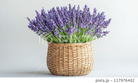 Lavender bouquet in a woven basket with a soft background showcasing natural beauty 117976482
