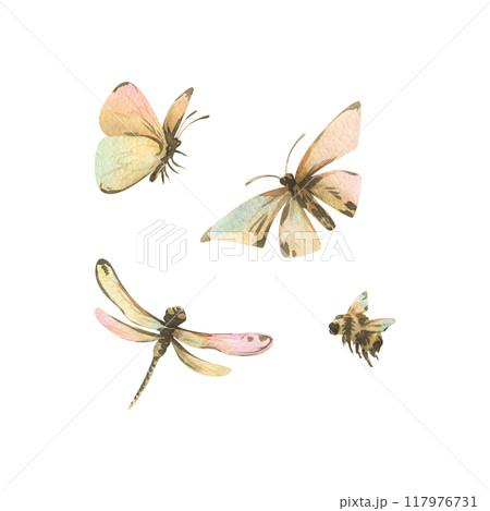 Insects butterflies, dragonfly and bumblebee in ochre brown tones with turquoise and pink shades. Watercolor illustration hand drawn in vintage style. Set of elements isolated from the background 117976731