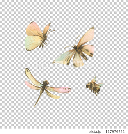 Insects butterflies, dragonfly and bumblebee in ochre brown tones with turquoise and pink shades. Watercolor illustration hand drawn in vintage style. Set of elements isolated from the background 117976731