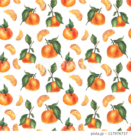 Orange tangerines with green branch and leaves, citrus tropical fruit, whole and slices. Watercolor illustration, hand drawn. Seamless pattern on a white background. 117976737