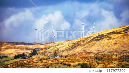 A landscape with rolling hills features numerous wind turbines and a small house. The sky is filled with fluffy, white clouds. 117977202