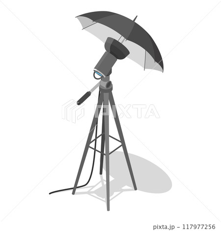 3D Isometric Flat Vector Set of Photo Studio Equipment Items, Photographer Tools. Item 6 3D Isometric Flat Vector Set of Photo Studio Equipment Items, Photographer Tools. Item 6 117977256