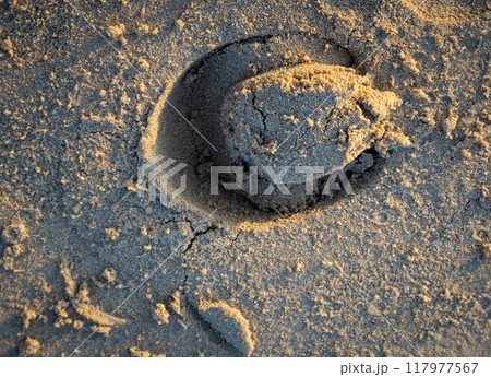 Horseshoe print in the sand, Djerba, Tunisia 117977567