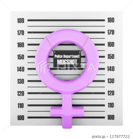 Female gender with police department mugshot. 3D rendering 117977722