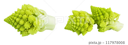 Romanesco broccoli cabbage or Roman Cauliflower isolated on white background with full depth of field Romanesco broccoli cabbage or Roman Cauliflower isolated on white background with full depth of field 117978008
