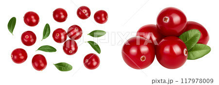 Cranberry with leaves isolated on white background with  full depth of field. Top view. Flat lay 117978009