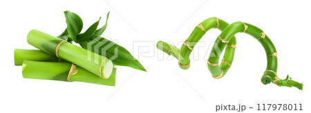 Green bamboo with leaves isolated on white background with full depth of field Green bamboo with leaves isolated on white background with full depth of field 117978011