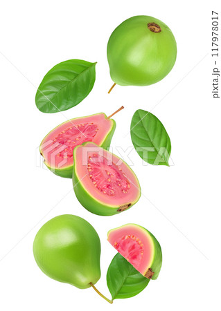Guava fruit slices isolated on white background with  full depth of field. Top view. Flat lay 117978017