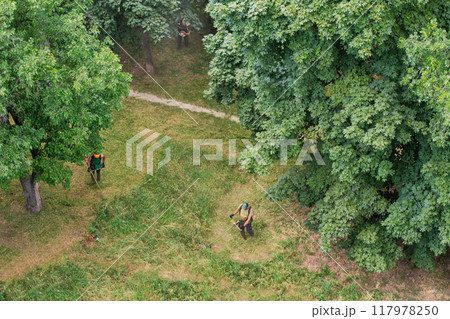 team of worker mow the grass with brushcutters, top view 117978250