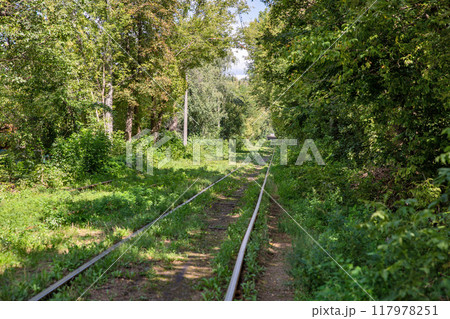 Long empty tram tracks running through the forest. Long empty tram tracks running through the forest. 117978251