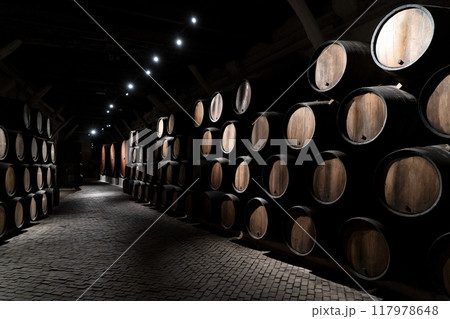 Barrels in wine cellar Barrels in wine cellar 117978648