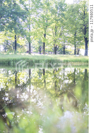 緑のある水辺の風景 117980511