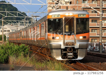 【JR東海】313系8000番台（東海道本線：焼津駅） 117981256