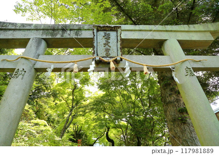 西江寺の鳥居 117981889