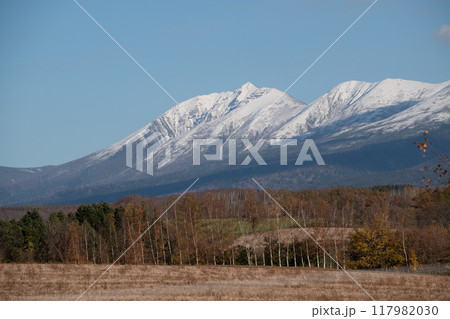 冠雪の山並みと秋の森 冠雪の山並みと秋の森 117982030