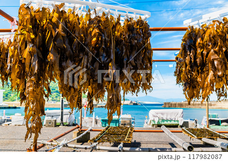 鳥取 浦富海岸 鳥取 浦富海岸 117982087