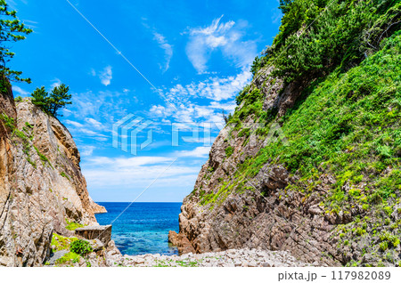 鳥取 浦富海岸 117982089