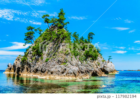 鳥取 浦富海岸 鴨ヶ磯 鳥取 浦富海岸 鴨ヶ磯 117982194