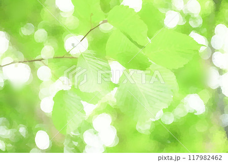 エコイメージの木の葉 117982462