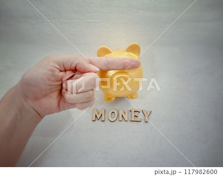 お金に盲目的な豚の貯金箱 117982600