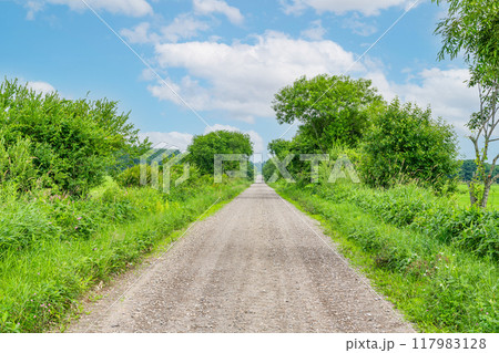 真っ直ぐ続く未舗装路（ダートイメージ） 117983128